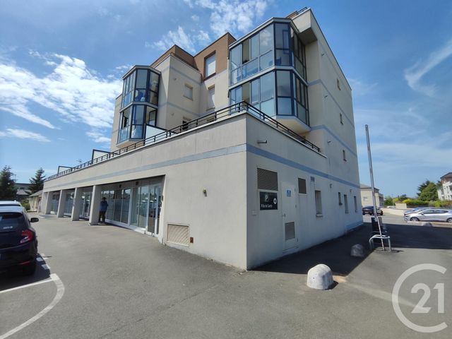 appartement - LA CHAPELLE ST MESMIN - 45